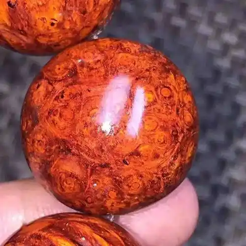 做好心理准备密集恐惧症患者