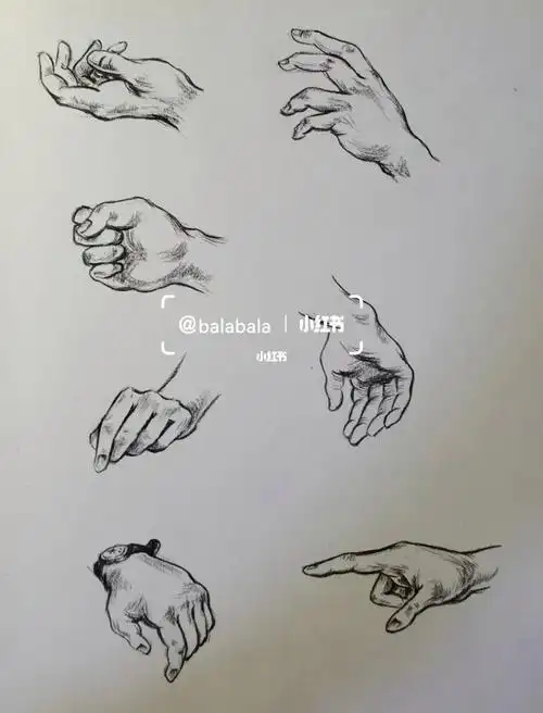 速写临摹练习手部速写