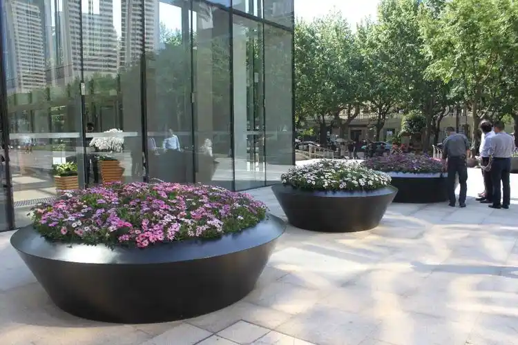 圆形花坛中,精心布置万寿菊,简单却生机勃勃.