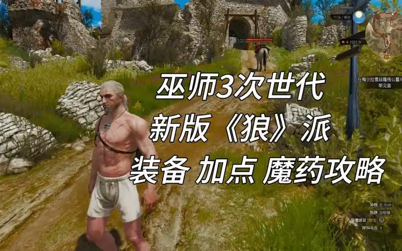 【征服者狼】巫师3次世代新版狼派玩法装备加点魔药攻略--叶已寄北