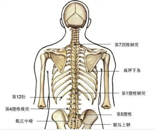 棘突炎的临床有效调理方法