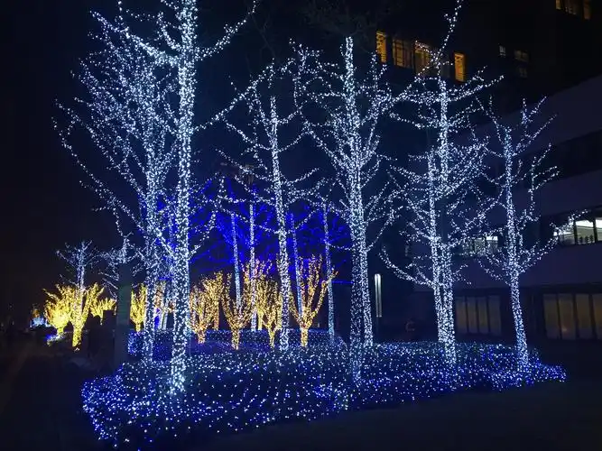 蓝色灯光下的树