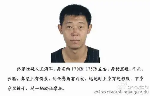 辽宁海城市恶性杀人案件告破嫌犯确认已死亡图