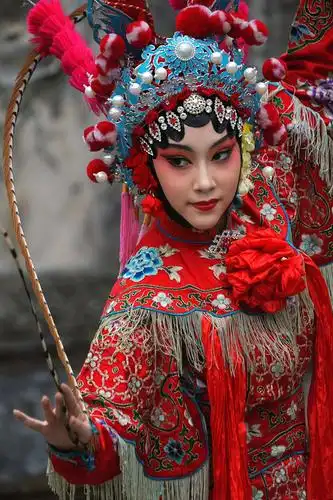 《特写之美》摄影撰文编辑:陈茂金