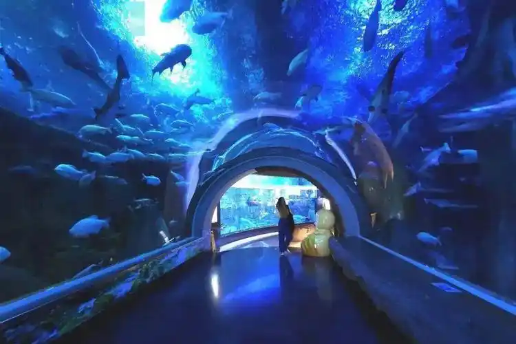 藏不住的双流#成都双流海滨城.@川渝周边游的动态