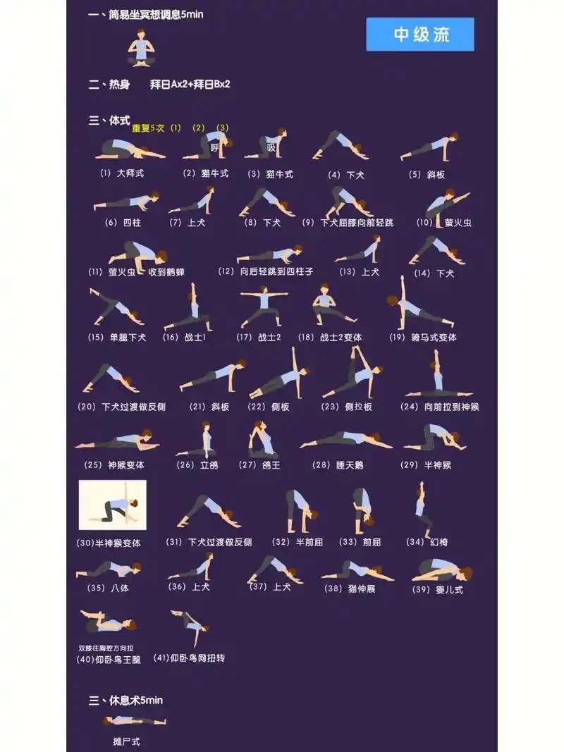 瑜伽排课—2156641566中级流.