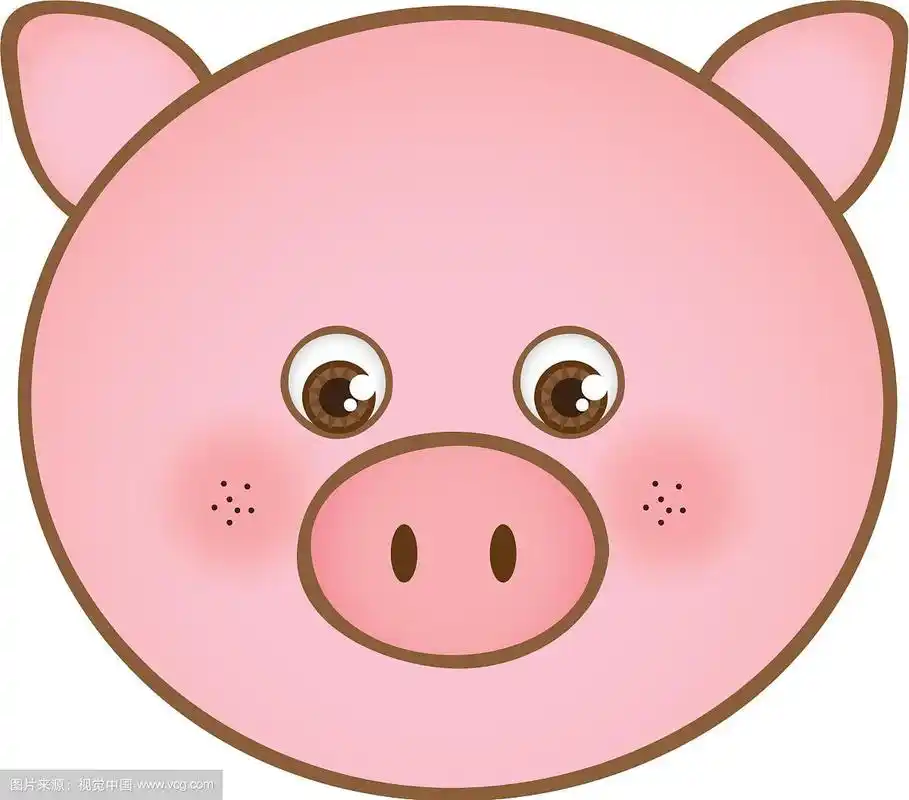 可爱的猪动物头表情