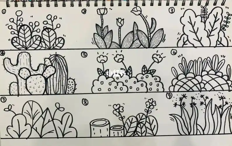 草丛简笔画临摹