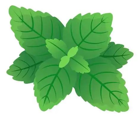 薄荷叶元素图片_卡通手绘_编号11720239_红动中国