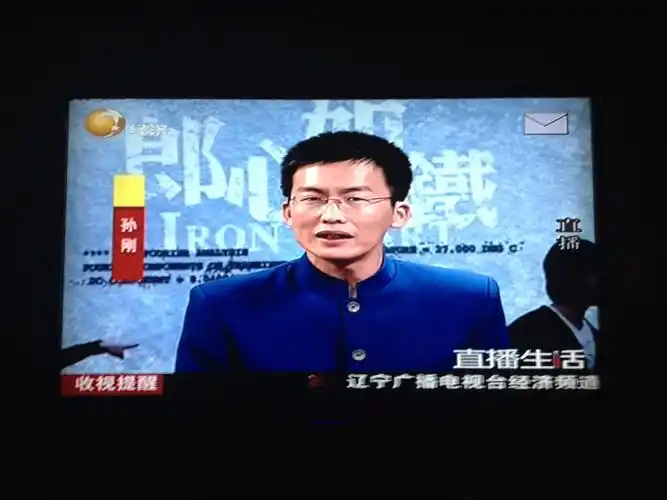 data-lemmaid="4730717">辽宁广播电视台 /a>经济频道节目主持人, a