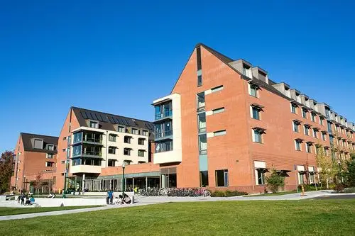 俄勒冈大学本科回国就业