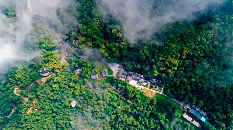 郁郁葱葱的大围山 张洪科 摄