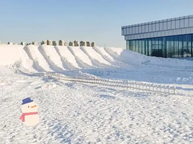 天津北辰双街花卉博览园冰雪儿童戏雪场