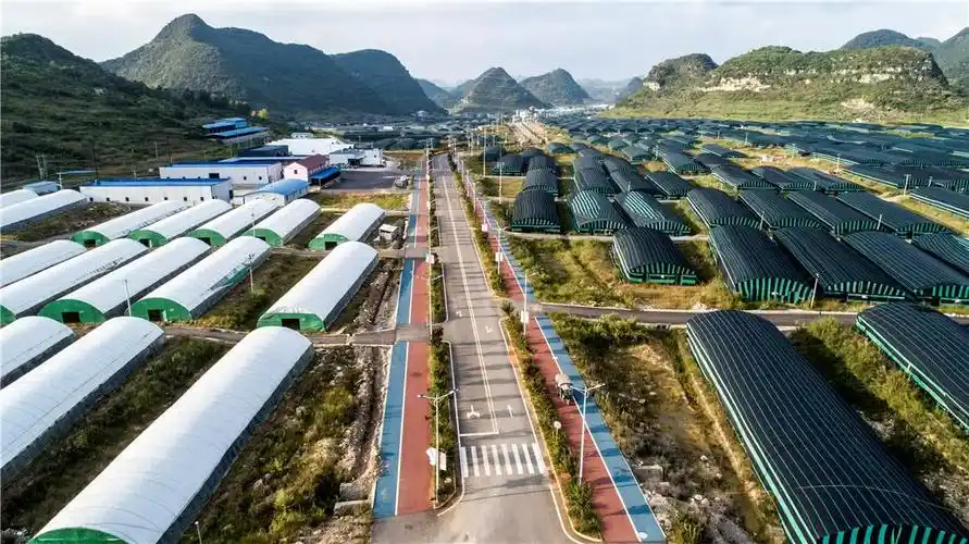 道真县企业建站_(道真建筑公司有哪些)