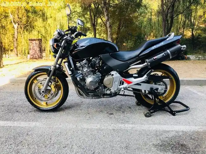 本田黄蜂600申请中介