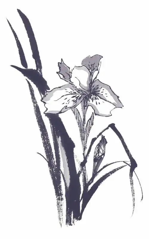 水墨兰花图片素材合辑2_lanrentuku.com