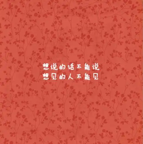 想说的话不能说 想见的人不能见