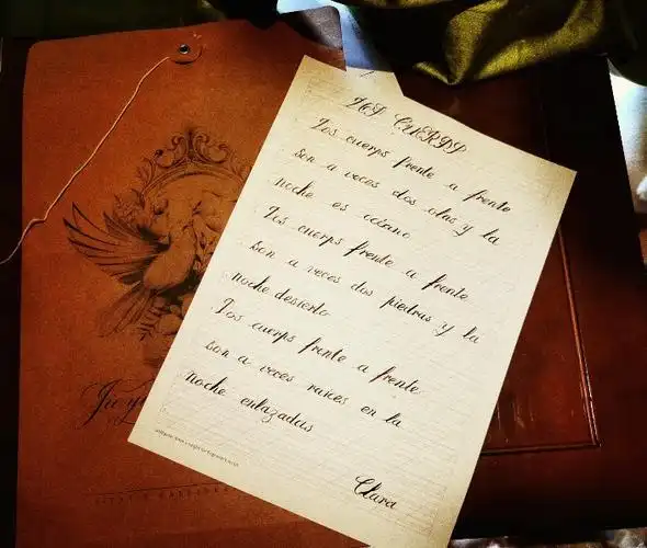 国际学院成功举办见字如面西班牙语书法比赛