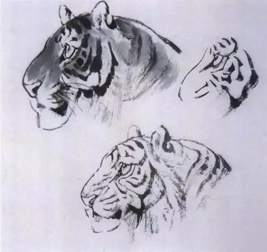 图文教程:写意虎的画法详解