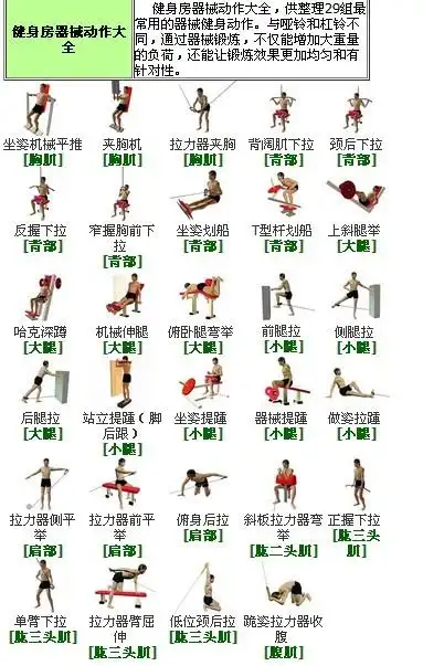 健身房器材名称_健身房器材使用图解_健身房器材配置_健身房器材价格