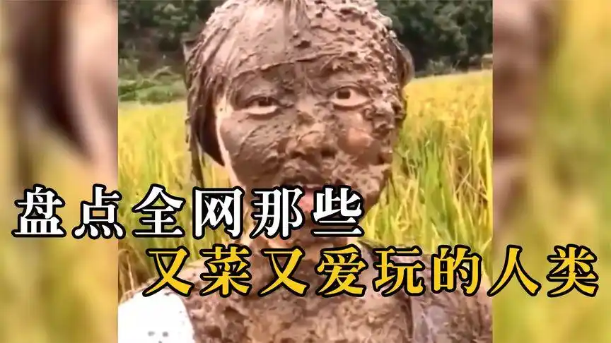 盘点又菜又爱玩的人类,快乐都是建立在别人痛苦之上!