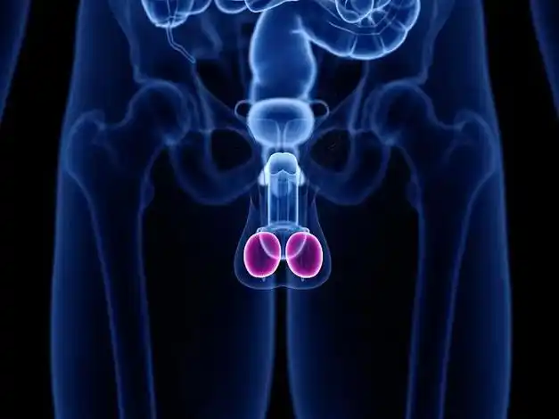 男性一生最多只能排6000次精这3个精液知识男女都该知道