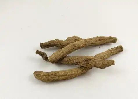 还阳参的功效与作用及禁忌