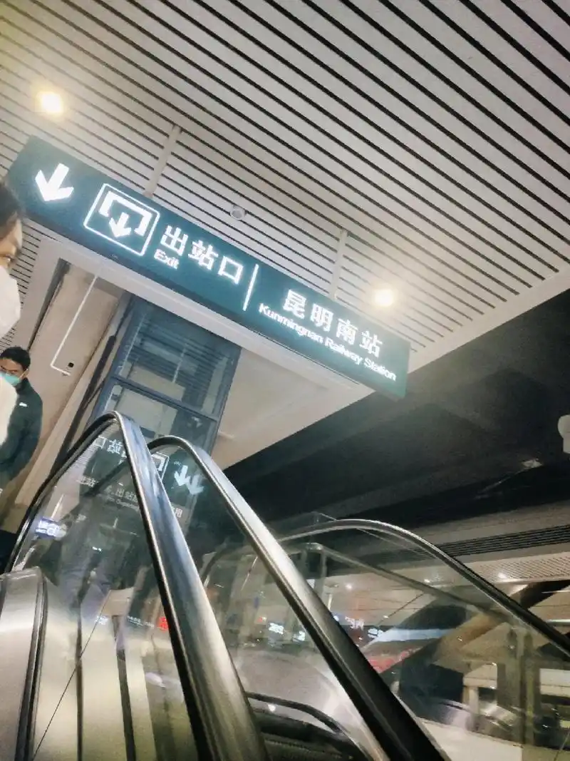 漂泊但无比勇敢的上半年.