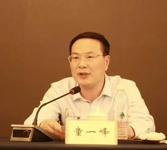 童一峰肯定了致公党区基层委一年来的工作.