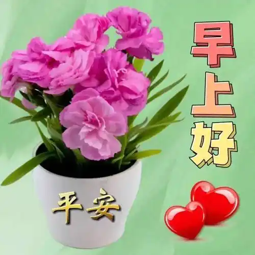 周六周末愉快,早上好非常创意精美的表情包祝福图片带字带问候语录