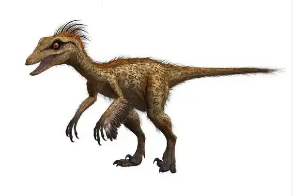 伤齿龙(troodon)是一种生存于白垩纪中期的中型肉食恐龙,约7700万年前