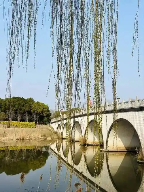 春暖花开季正是踏青时海安不可错过的早春美景