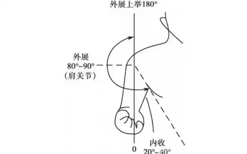 图4-2-3 肩关节内旋,外旋活动范围图4-2-2 肩关节前屈后伸活动范围肩