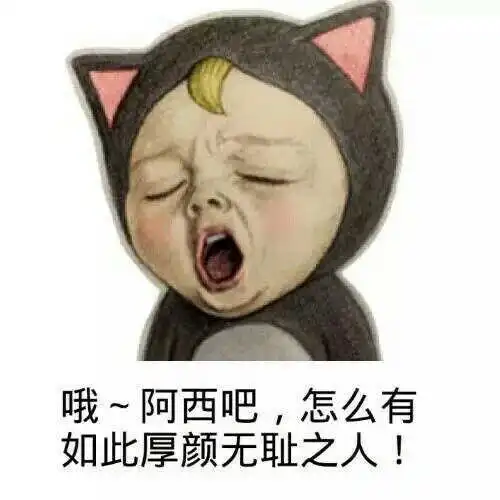 哦,阿西吧,怎么有如此厚颜无耻之人!