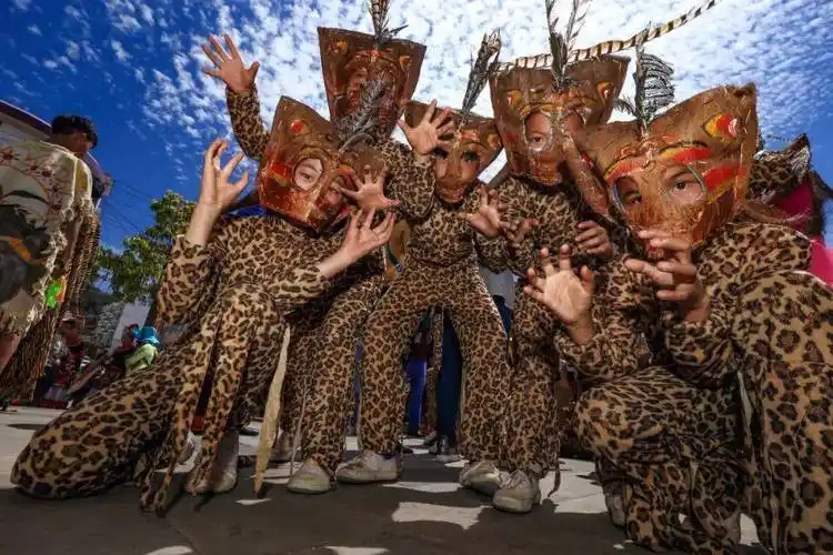 乐享云南丨非遗·彝族小豹子笙_动作_楚雄州_文化