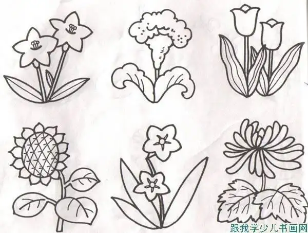 六年级美术花草简笔画