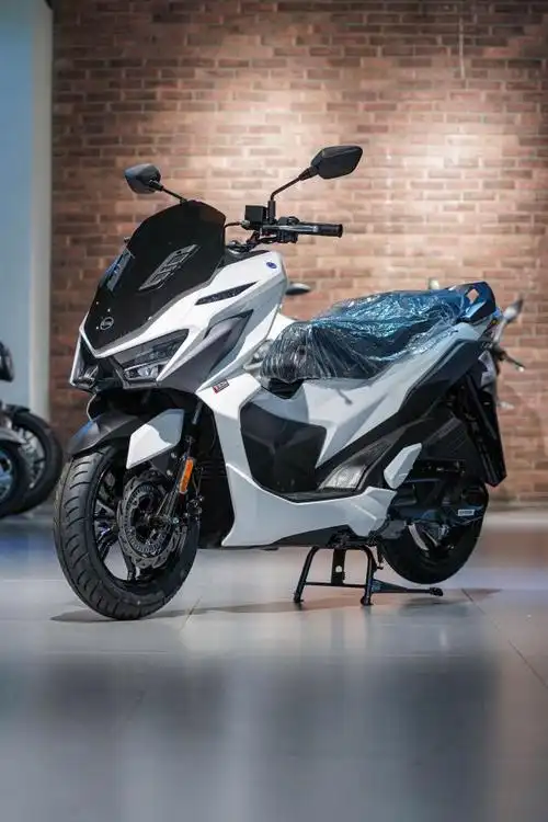 三阳巡弋150x 有车