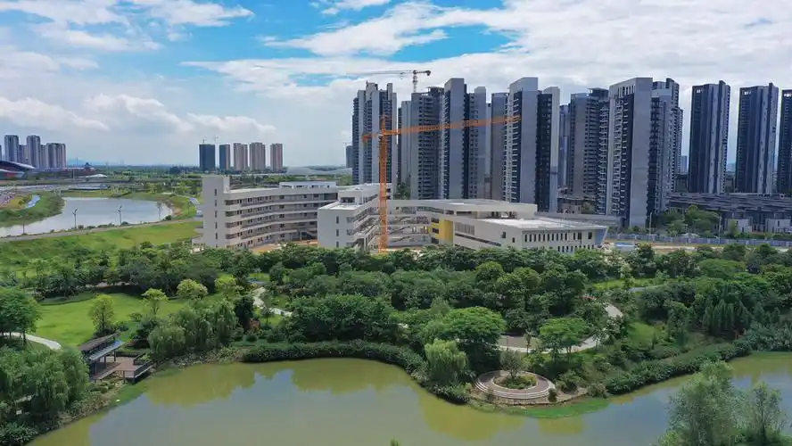 图 | 建设中的肇庆华侨城纯水岸小学 肇庆新区发布