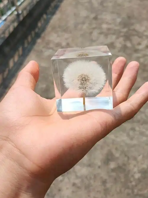 原创环氧树脂干花蒲公英植物标本夜灯纯手工工艺品摆件