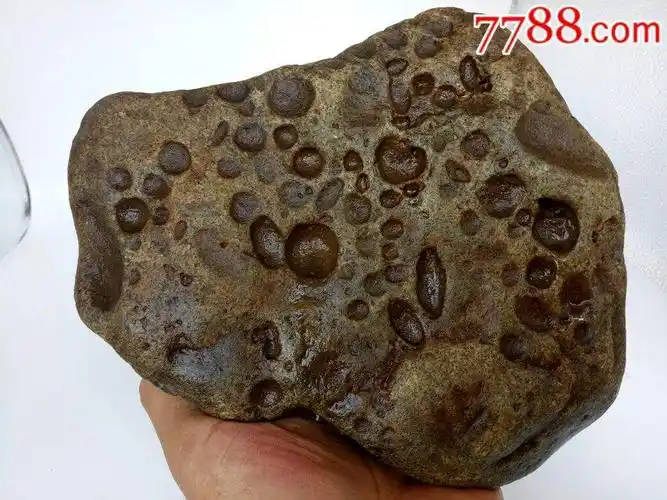 真正的玉陨石图片 罕见玉化石陨石图片-图片大观-奇异网