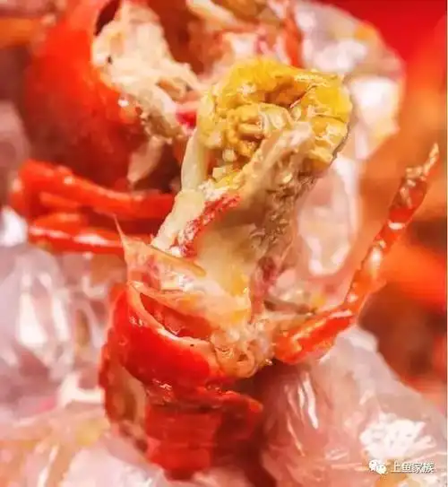 小龙虾肉属于什么垃圾_小龙虾肉在宜昌是什么垃圾
