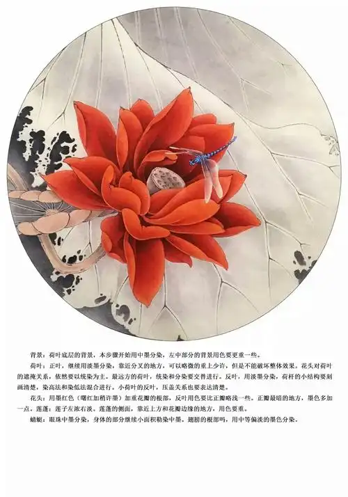 李晓明老师新作工笔荷花朱砂荷详细步骤