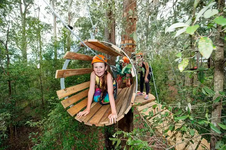 悉尼树顶冒险公园挑战体验(可选悉尼城堡山/西悉尼/中央海岸/纽卡斯尔