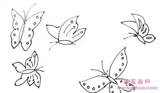 简笔画玫瑰和蝴蝶