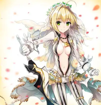 fate extra ccc/fate grand order 花嫁尼禄