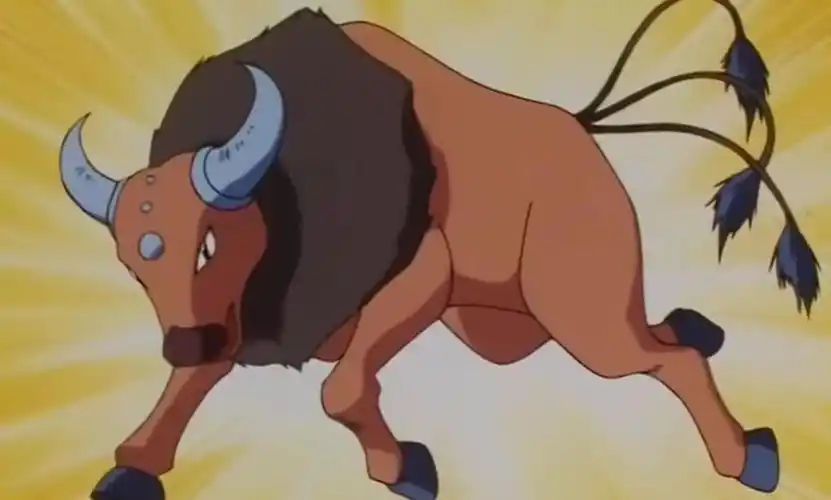 有哪些宝可梦可以吃