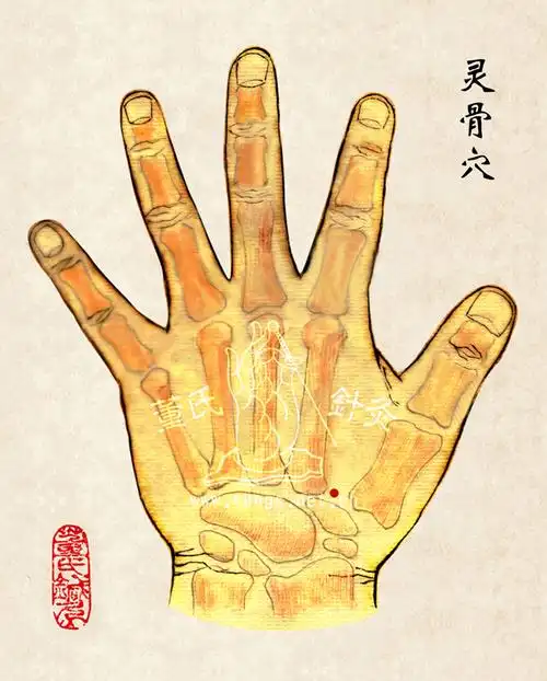【灵骨穴】穴位:在手背虎口,拇指与食指叉骨间,即