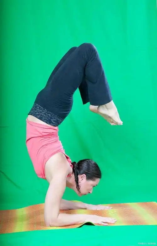 肘倒立动作要领和技巧,值得收藏!