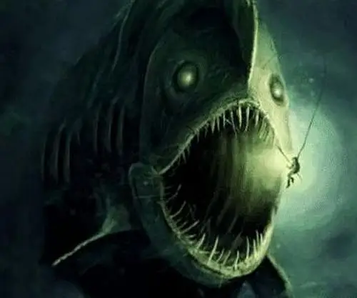 深海|生物|乌贼_新浪新闻