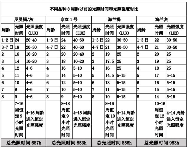 目前市场上蛋鸡品种较多:高产褐壳蛋鸡有京红,海兰褐,罗曼褐,伊莎褐等